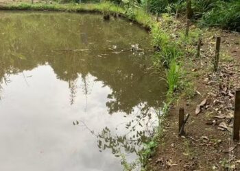 Homem morre após encostar em cerca elétrica e cair em açude no Sul de Minas