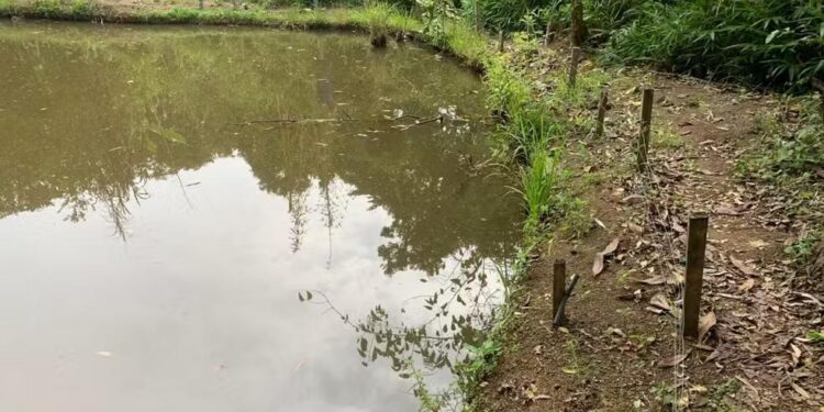 Homem morre após encostar em cerca elétrica e cair em açude no Sul de Minas