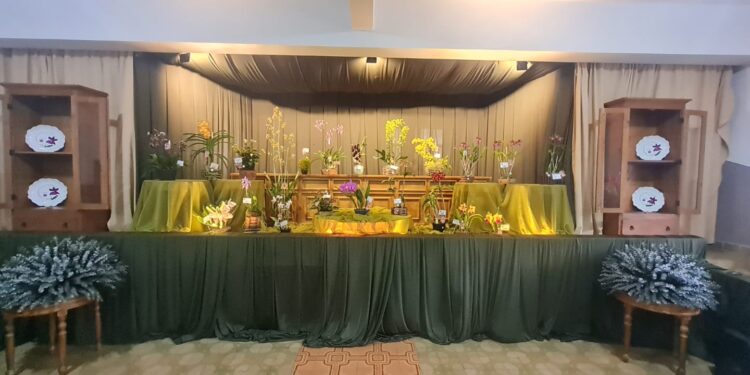 5ª Exposição Nacional de Orquídeas atrai grande público e expositores de todo o país em Córrego Fundo