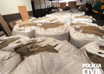 PCMG recupera carga de café avaliada em R$ 2 milhões em Jacutinga