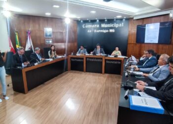 Câmara de Formiga aprova projetos de transporte público e moradia prioritária para mães atípicas