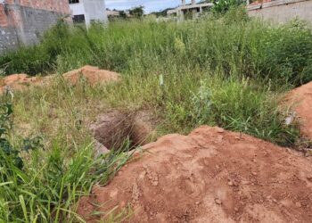 Homem é agredido e quase enterrado vivo em MG