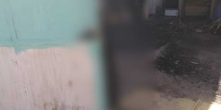 Vizinhos ouvem gritos e tentam ajudar cachorro que morreu após ser pendurado em portão por tutor em Divinópolis