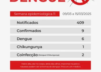 Boletim Epidemiológico: 409 notificações e 9 casos de doenças relacionadas ao Aedes aegypti foram confirmados em Formiga