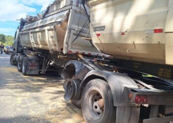 Gado solto na pista provoca acidente e interdição de rodovia em Bambuí; dez animais morreram atropelados