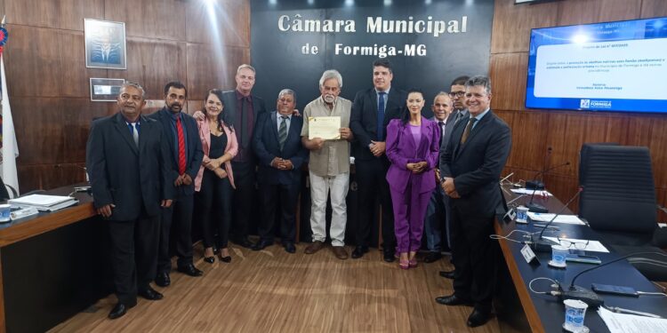 Câmara de Formiga aprova projeto de proteção às abelhas nativas e homenageia servidor público aposentado