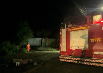 Estragos da chuva: Formiga registra queda de árvores e perigo de eletrocussão