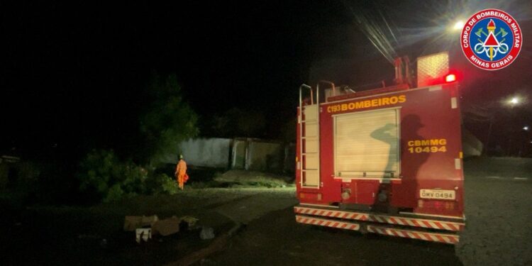 Estragos da chuva: Formiga registra queda de árvores e perigo de eletrocussão