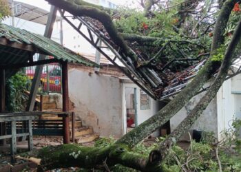 Temporal em Formiga: queda de árvore causa estragos em residência no bairro Santo Antônio