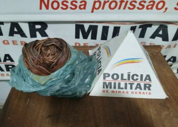 Jovem é preso suspeito de furtar transportadora em Arcos