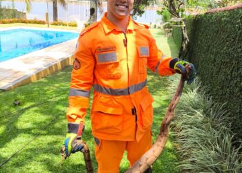 Bombeiros resgatam jiboia em residência no condomínio Edentur