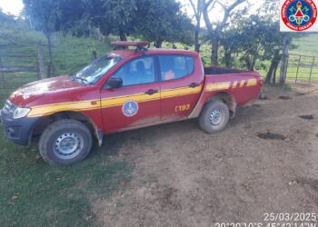 Buscas por desaparecido em Pains continuam