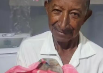 Buscas por idoso desaparecido em Pains continuam