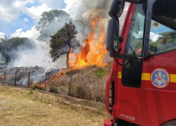 Incêndio em lote vago mobiliza Bombeiros no Bairro Novo Santo Antônio