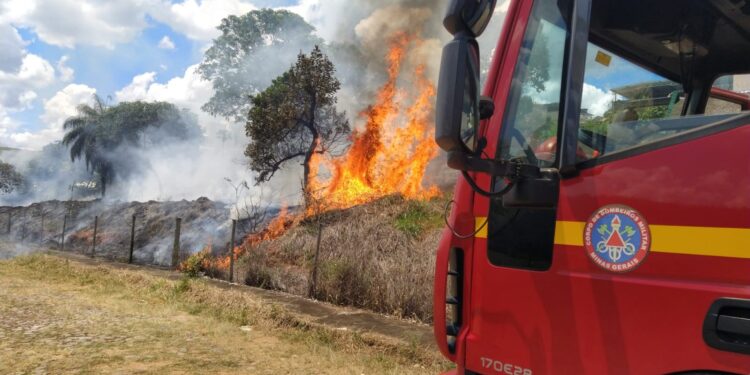 Incêndio em lote vago mobiliza Bombeiros no Bairro Novo Santo Antônio