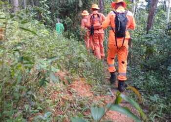 Bombeiros realizam buscas por idoso desaparecido na zona rural de Pains