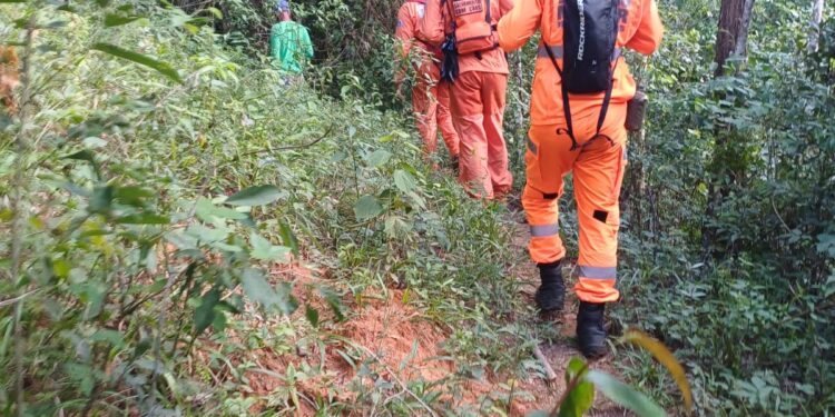 Bombeiros realizam buscas por idoso desaparecido na zona rural de Pains