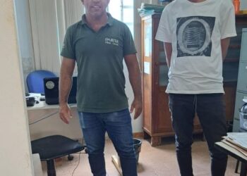 Prefeitura de Córrego Fundo e Emater realizam compra conjunta de pintainhas