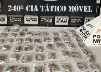 Com apoio de cão farejador, polícia encontra drogas em matagal em Divinópolis