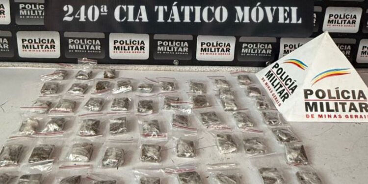 Com apoio de cão farejador, polícia encontra drogas em matagal em Divinópolis