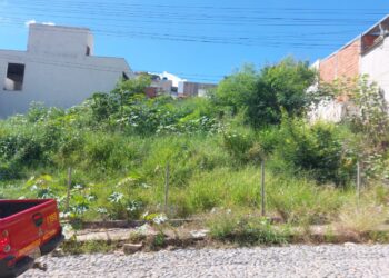 Operação Alerta Verde: Bombeiros realizam vistorias em terrenos baldios no bairro São Sebastião, em Formiga