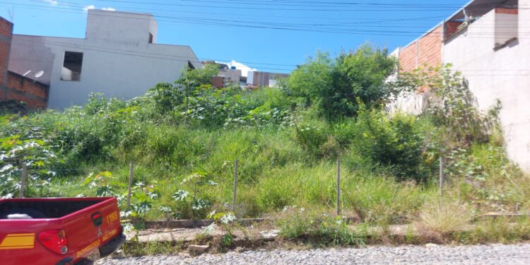 Operação Alerta Verde: Bombeiros realizam vistorias em terrenos baldios no bairro São Sebastião, em Formiga