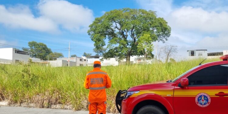 Vistorias preventivas em lotes vagos são realizadas no bairro Alto dos Pinheiros em Formiga