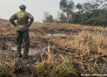Brasil reduz 70% da área queimada no primeiro trimestre de 2025