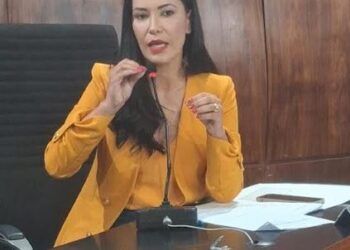 Vetos parciais a projetos da vereadora Joice Alvarenga são mantidos durante reunião da Câmara