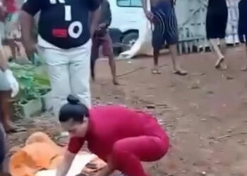 Avós são presos por abandonar bebê que foi atacado e mutilado por animal