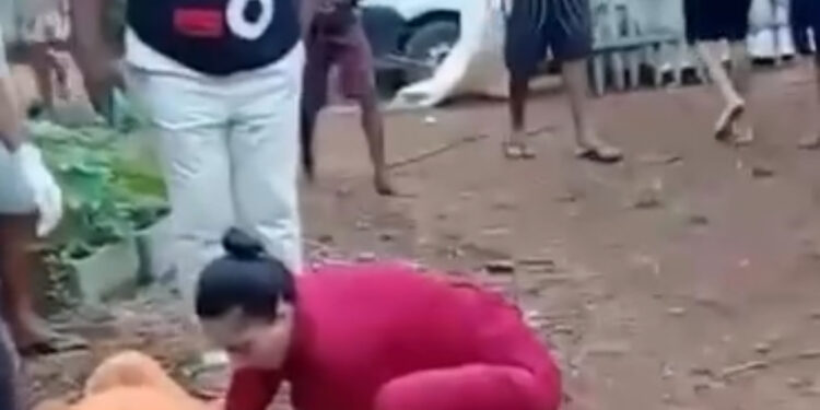 Avós são presos por abandonar bebê que foi atacado e mutilado por animal