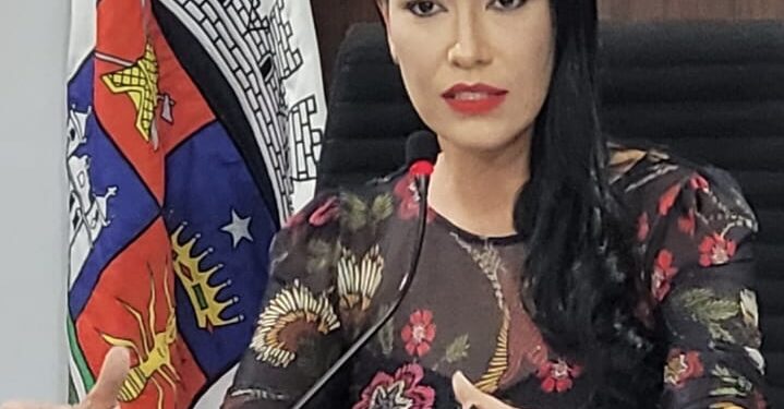 Câmara de Formiga aprova projeto que estabelece prazo para pagamento da complementação financeira da enfermagem