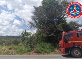 Corpo de Bombeiros realiza vistorias em lotes vagos com foco na prevenção de incêndios