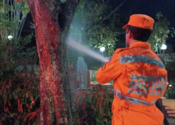 Bombeiros combatem incêndio em árvore na praça Ozório Garcia, em Formiga