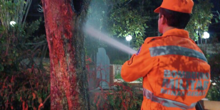 Bombeiros combatem incêndio em árvore na praça Ozório Garcia, em Formiga