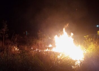 Em Arcos: incêndio em lote vago é contido pelos bombeiros