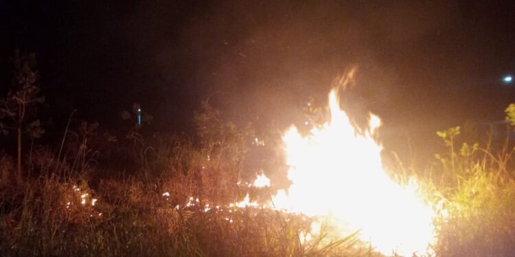 Em Arcos: incêndio em lote vago é contido pelos bombeiros