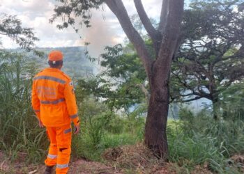 Corpo de Bombeiros controla incêndio em área de pasto em Formiga