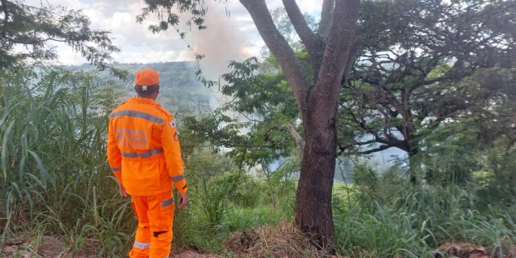 Corpo de Bombeiros controla incêndio em área de pasto em Formiga