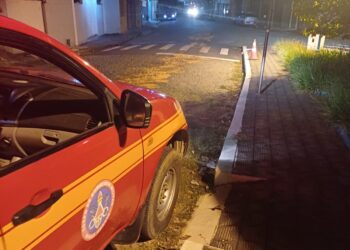 Bombeiros eliminam risco de derrapagem após vazamento de óleo em Formiga