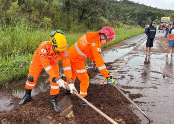 Formiga: bombeiros realizam limpeza de rodovia após colisão entre dois caminhões e derramamento de carga