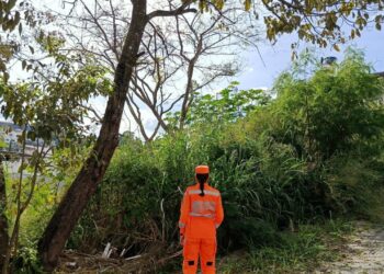 Corpo de Bombeiros realiza vistorias em lotes no bairro Mangabeiras