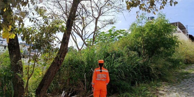 Corpo de Bombeiros realiza vistorias em lotes no bairro Mangabeiras