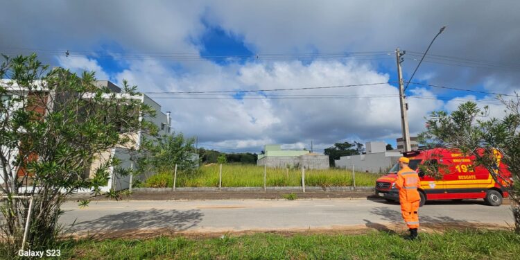 Bombeiros dão continuidade à operação ‘Alerta Verde’, em Formiga