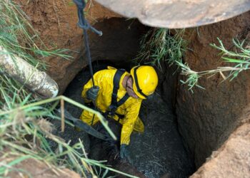 Égua é resgatada de fossa séptica em comunidade rural de Formiga