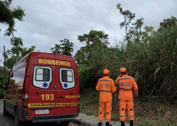 Bombeiros realizam vistoria em lotes com risco de incêndio na região do Cristo