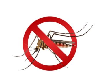 Secretaria de Saúde de Córrego Fundo divulga boletim epidemiológico