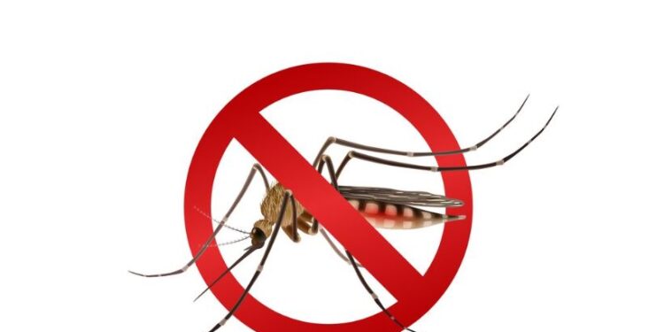 Secretaria de Saúde de Córrego Fundo divulga boletim epidemiológico