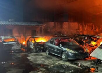 Incêndio destrói ferro-velho e mata cadela em Divinópolis