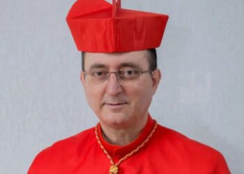 Dom Sérgio da Rocha é cardeal brasileiro com mais chances de ser papa